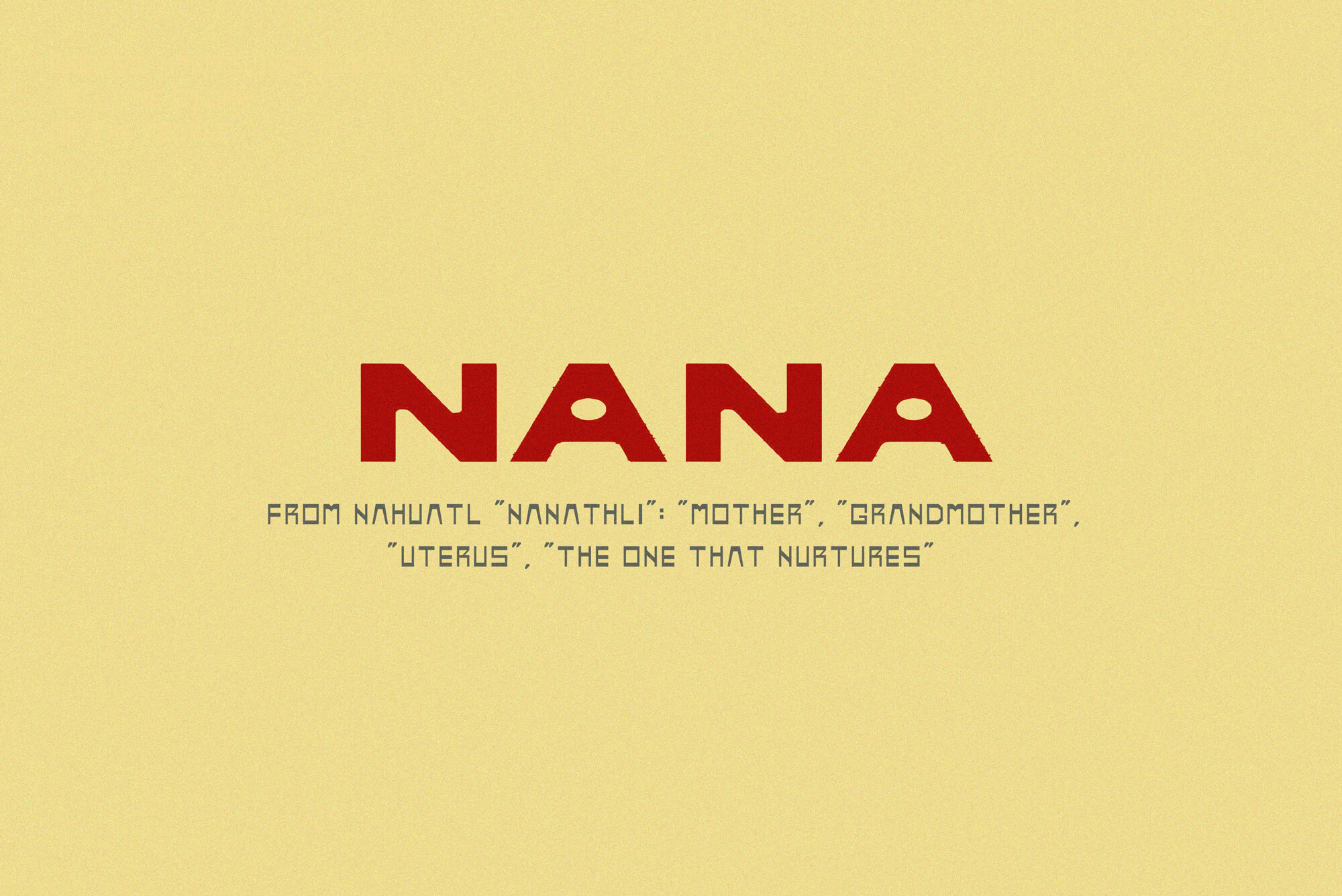 Logo for Nana Branding Design Project