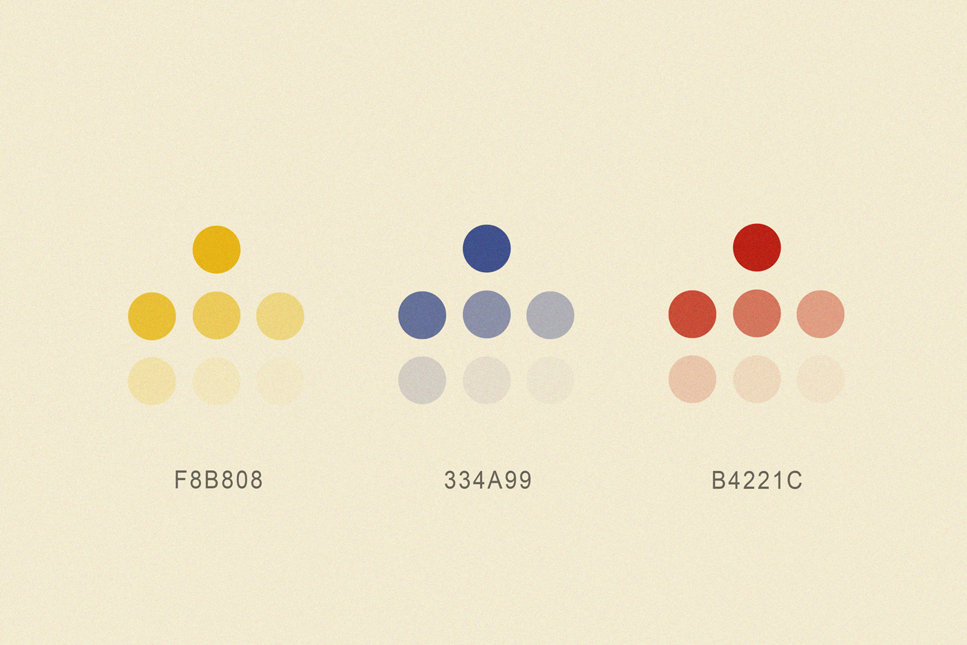 Colour Palette for branding graphic design client